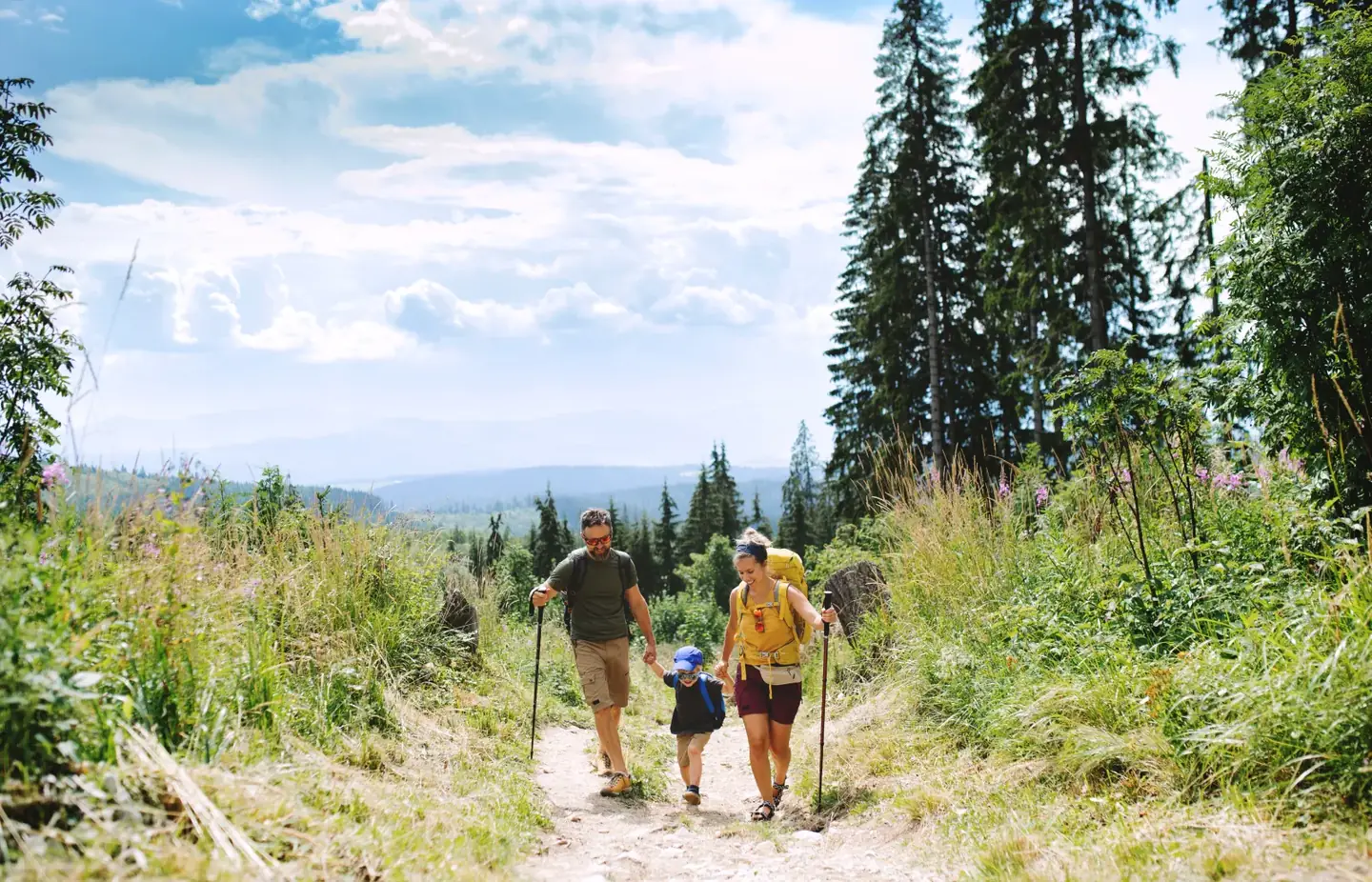 Hiking trail above Shuswap Lake